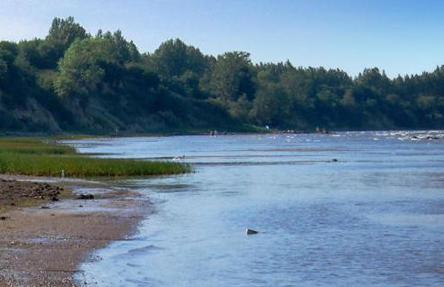 Nice Home In Wohlenberg With Kitchen - Foto 17