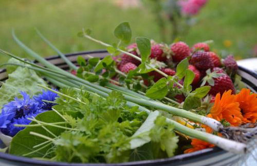 Ferienhaus Hof Papenwohld - Naturpark, Gartensauna - Foto 70