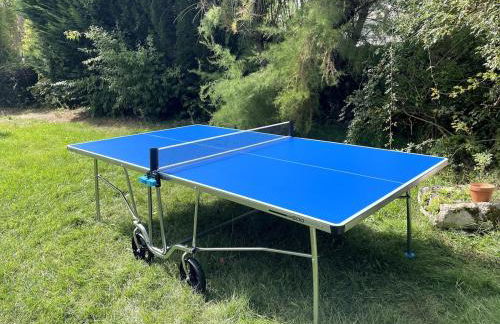 Gîte de Mont-Près-Chambord au cœur des Châteaux de la Loire "avec piscine privée" - Foto 8