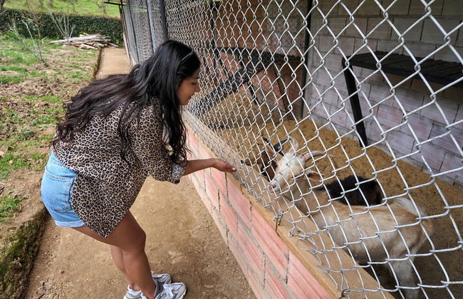 Glamping altos de la rivera - Foto 11