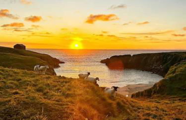 Nᴼ 21 Beautiful Cosy Modern Traditional Cottage - Photo 51