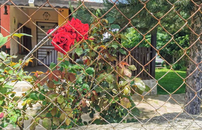 Cozy 1 Bed Cottage in Ognen, Near Karnobat, Burgas - Photo 25