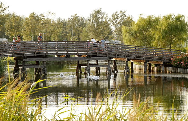 Residence Robinia Pinetine - Foto 25