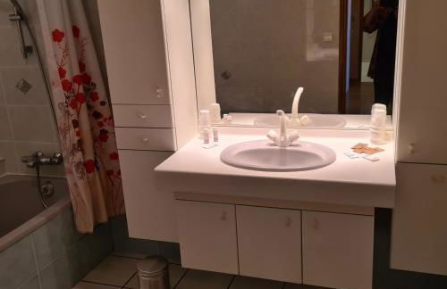 Le Gîte de Massiac - Photo 37