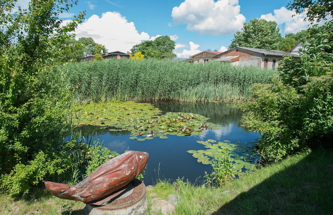 Ostsee-Landhaus - Foto 66