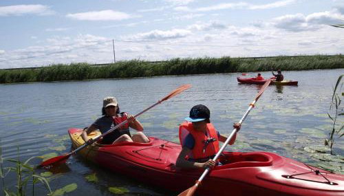 Nad Krolewiecka - Foto 4