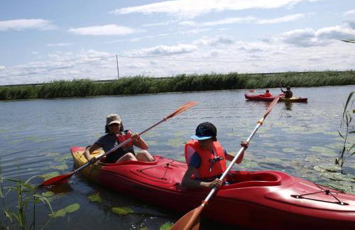 Nad Krolewiecka - Foto 4