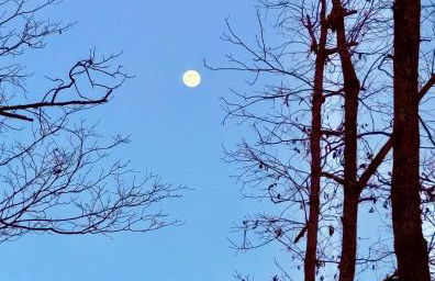 Turkey Creek Cabin Rentals #1 at Tims Ford lake Tullahoma - Foto 38