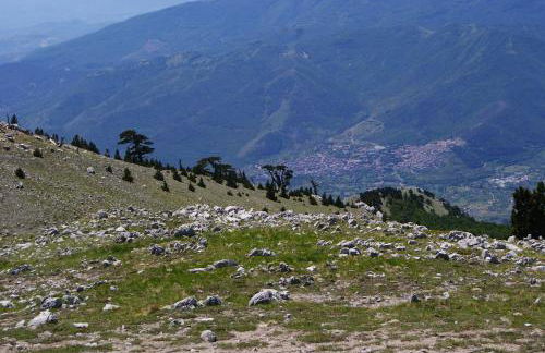 Tana di Zia Nature, Yourself, Love - Foto 24