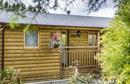 Laurel Lodge - 2 Bedroom Log Cabin - St Florence - Foto 27