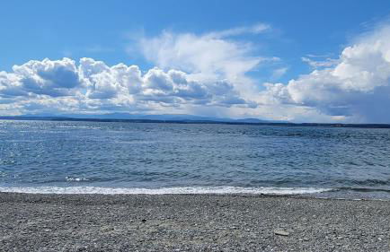 Chateau Coho by Avantstay Easy Beach Access - Foto 72