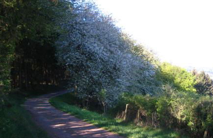 FeWo Marita - Foto 23