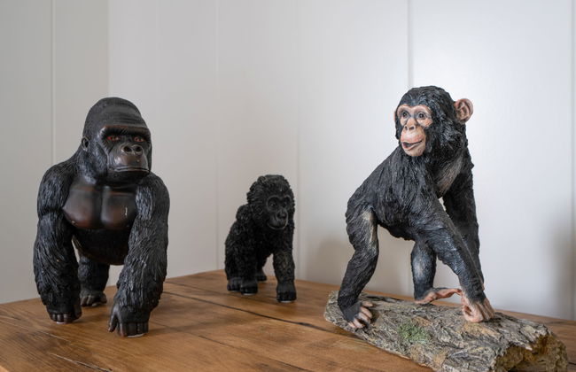 Loch Leven Lodge 25 East - Foto 13