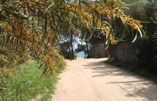 Villa Surphinia by Interhome - Foto 88