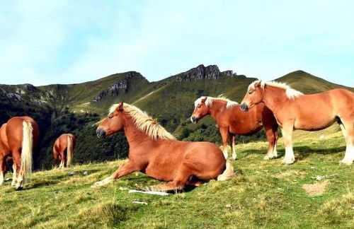 Valle Intelvi - Como Lake - Foto 26
