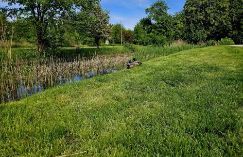 Countryside studio - Foto 27