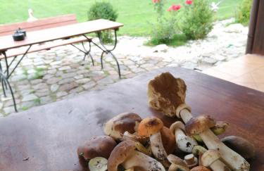 Domki nad stawem w Harszu - Foto 66