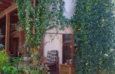 Gästehaus Brunhilde - Foto 7