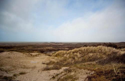 Le Brighton - Foto 18