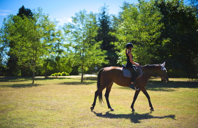 Società Agricola La Staccionata - Foto 17