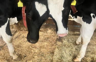 Stroblhof - Photo 45