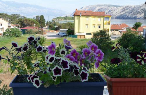 Ljubica & Ante Paparić - Foto 19