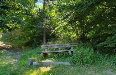 Le Chant du Loriot - Foto 25