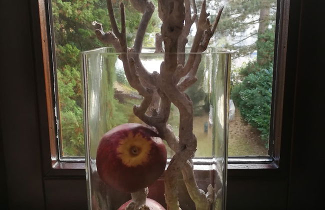 Gruga Apartment an der Messe - Photo 12