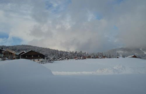 Häuslerhof - Foto 72