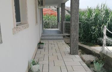 Big Blue - Xenija (Veliko Plavetnilo - Ksenija) - Foto 36