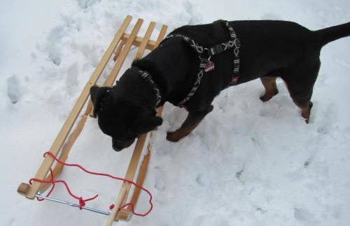 Wohnung für Liebhaber - gerne auch mit Kindern - Foto 23