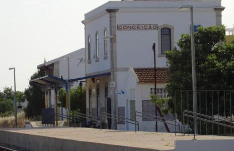 Petit Poisson - Foto 25