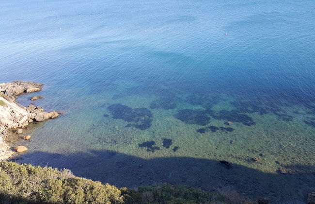 Poggiolivi Agriturismo Bio in Maremma - Photo 63