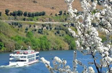 Casa do Trovão - Douro - Foto 12