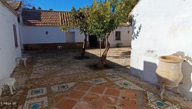 El Cortijillo de la Marquesa - Foto 2