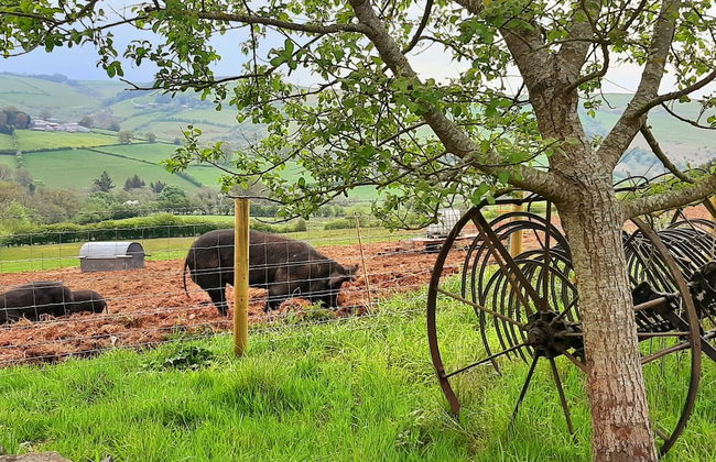 1 Double Bedrooms Cottage - Foto 4