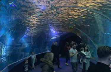 Appartement de 95 m2 bien situé - Foto 39