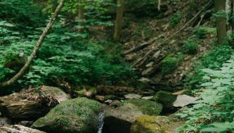 Creekside Oasis! - Foto 2