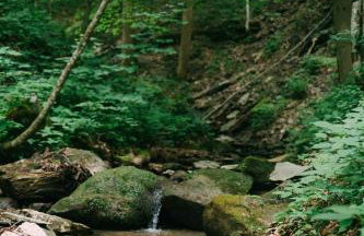 Creekside Oasis! - Foto 2