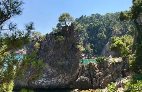 Calella golfet sobremar - Foto 33