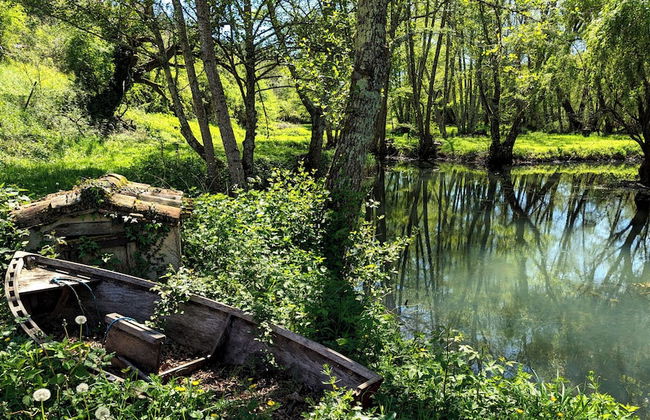 BONFARTO LOCATIONS - Foto 64