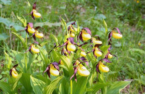 Haus Eicher - Foto 34