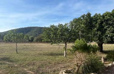 Finca es Born - vistas panorámicas - Photo 47