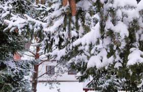 Biały Domek Nielbark - Agroturystyka - Foto 6