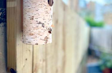 Stunning Urban Retreat in the heart of London - Photo 41