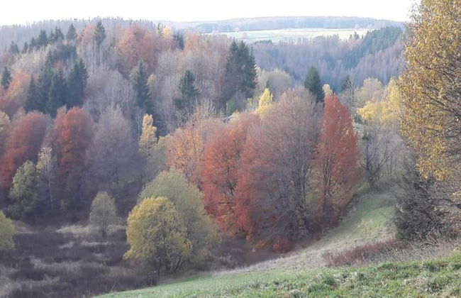 Apartment Directly on the Rennsteig - Photo 27