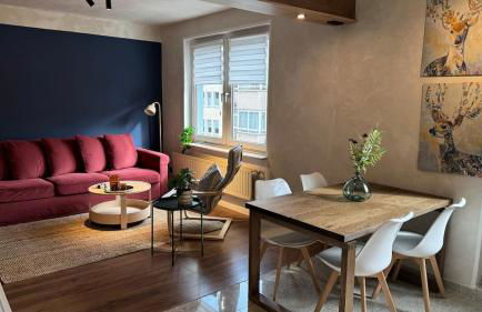 Charming 2-room apartment - Foto 14