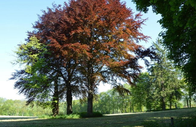 Group Stay With Pool, Chevron - Photo 38