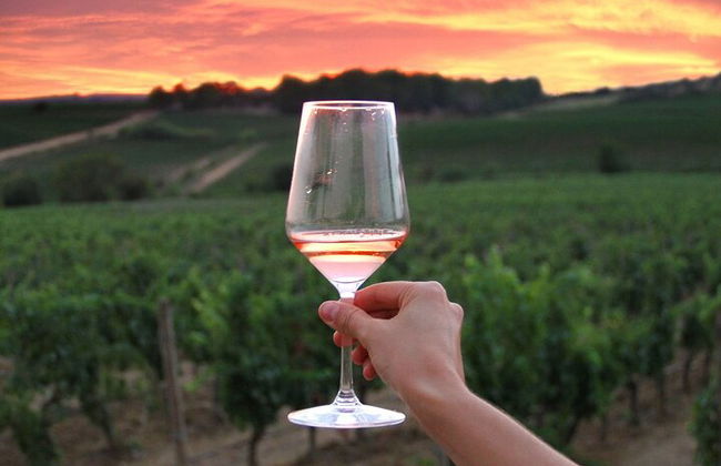 Discover the wine producers of Emilia Romagna - Photo 15