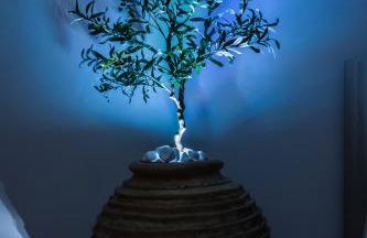 Casa Terra Mani - Photo 43